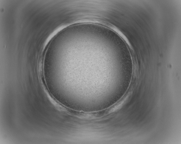 X0000081291101200701251646