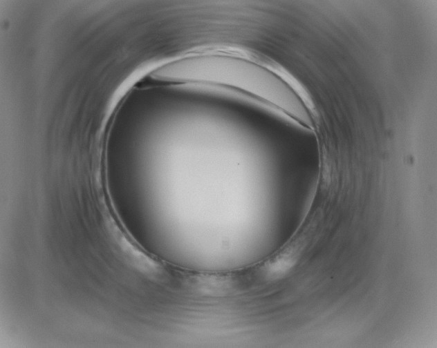 X0000081291102200701251646