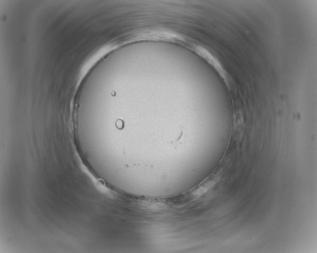 X0000081291103200701251646