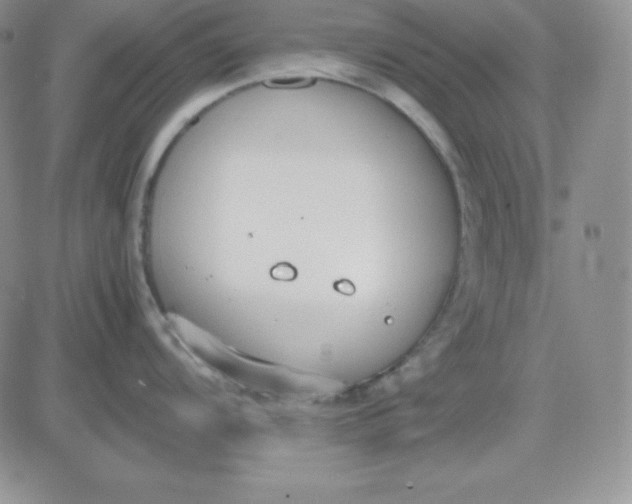 X0000081291104200701251646