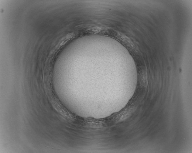 X0000081291105200701251646