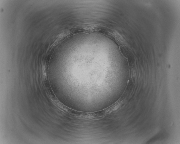 X0000081291106200701251646