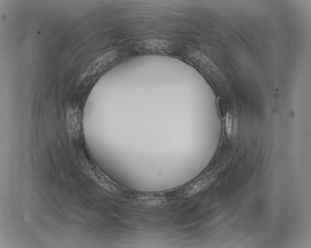 X0000081291107200701251646