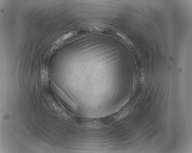 X0000081291108200701251646