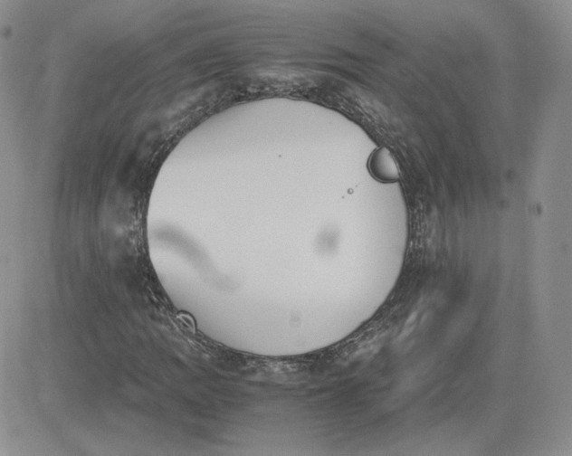 X0000081291109200701251646