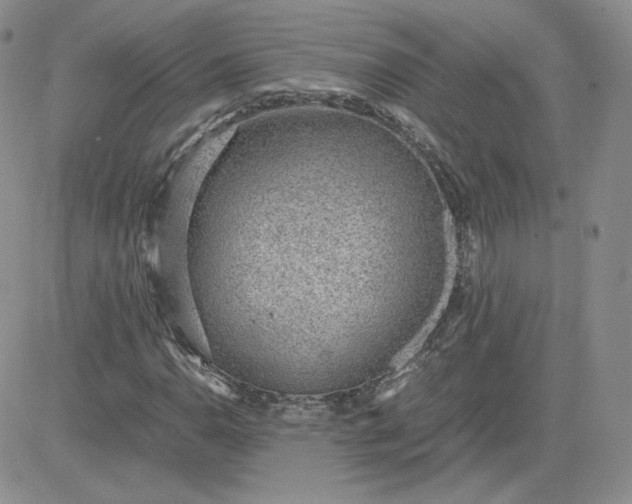 X0000081291110200701251646