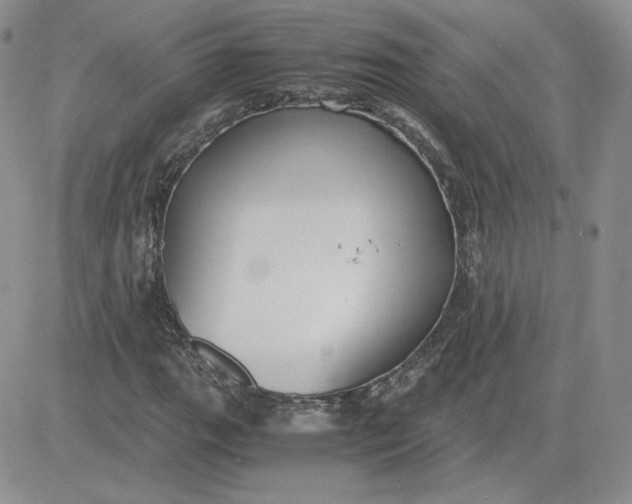 X0000081291111200701251646