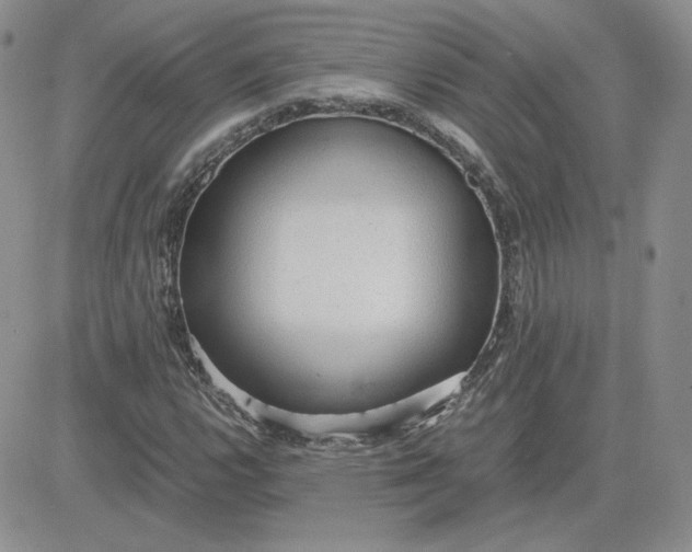 X0000081291112200701251646