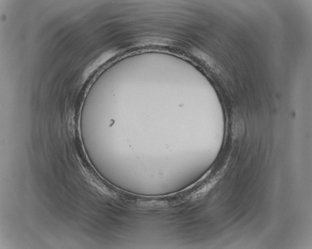 X0000081291113200701251646