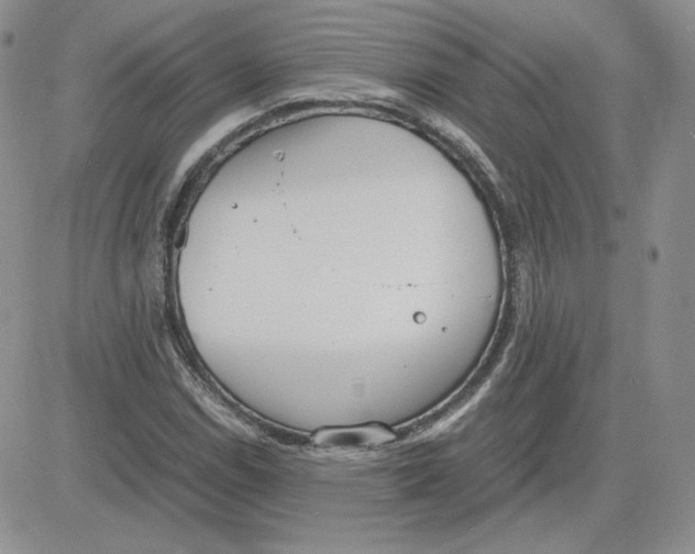 X0000081291114200701251646