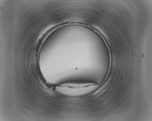 X0000081291115200701251646