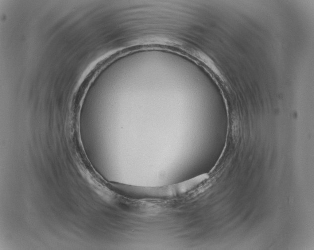 X0000081291116200701251646