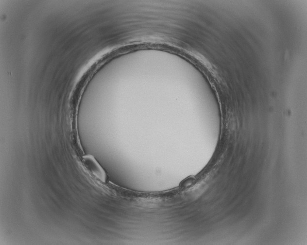 X0000081291118200701251646