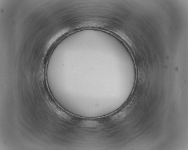 X0000081291119200701251646