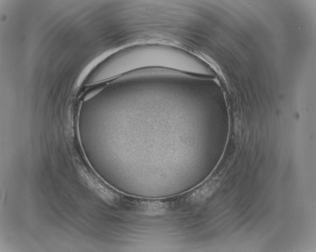 X0000081291120200701251646