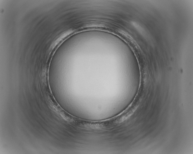 X0000081291121200701251646