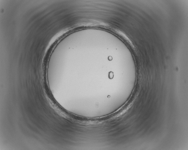 X0000081291122200701251646