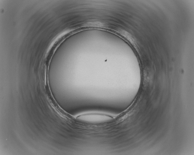 X0000081291123200701251646