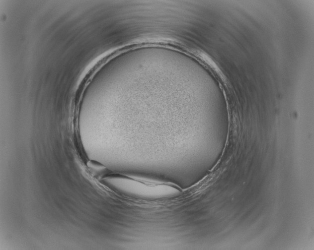 X0000081291124200701251646