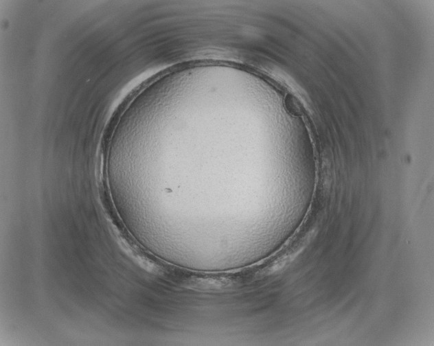 X0000081291125200701251646