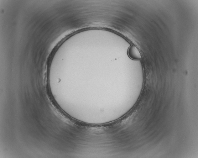 X0000081291126200701251646