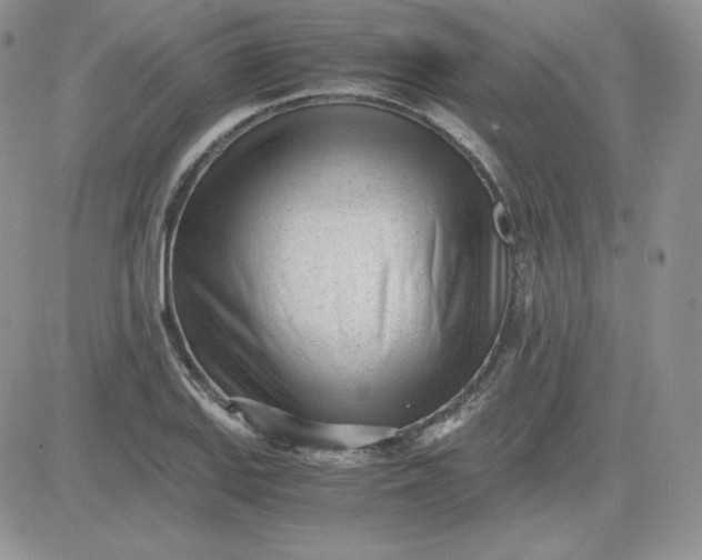 X0000081291127200701251646