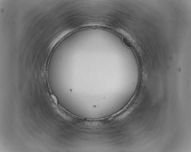 X0000081291129200701251646