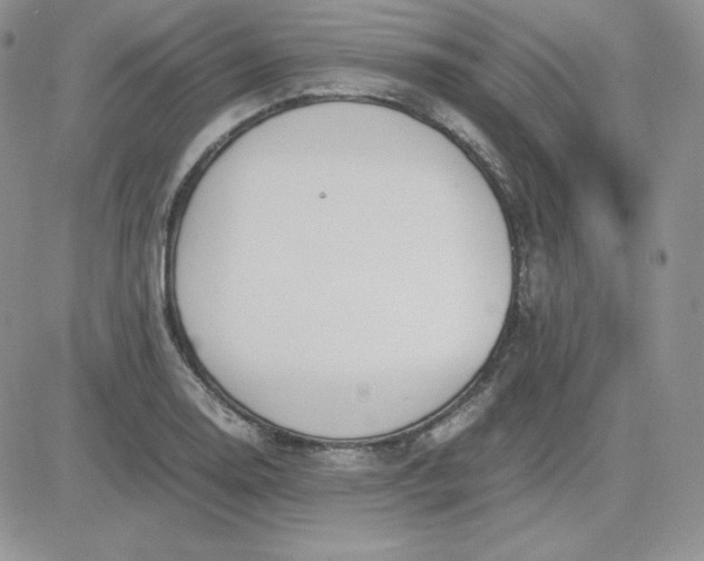 X0000081291130200701251646