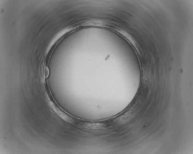 X0000081291131200701251646