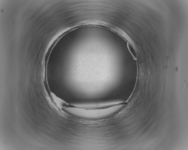 X0000081291132200701251646