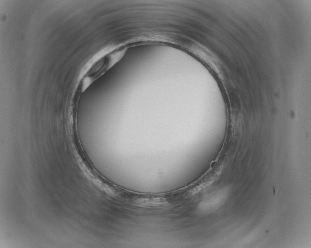 X0000081291133200701251646