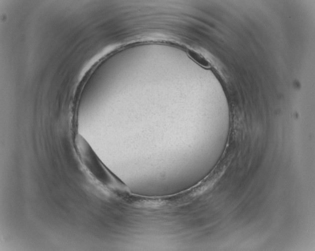 X0000081291134200701251646