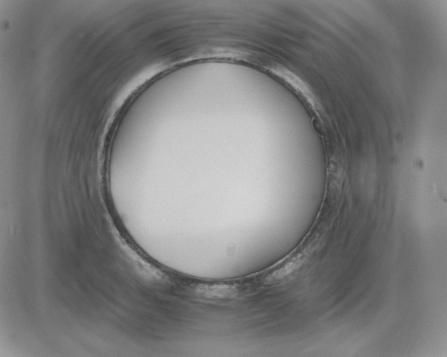 X0000081291135200701251646