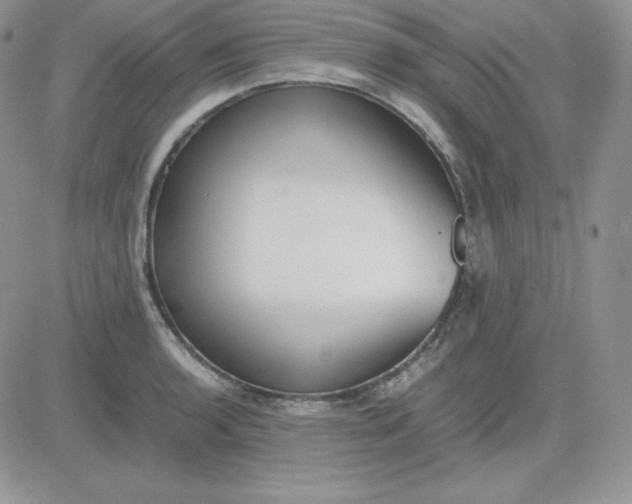 X0000081291136200701251646