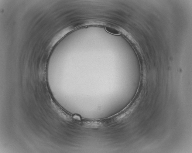 X0000081291137200701251646