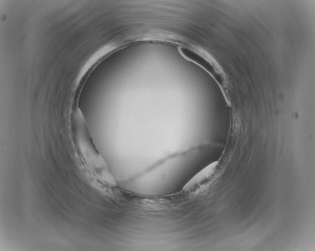 X0000081291138200701251646