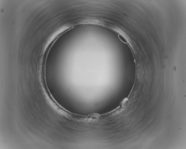 X0000081291139200701251646