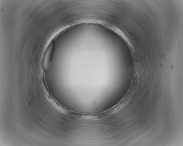 X0000081291140200701251646