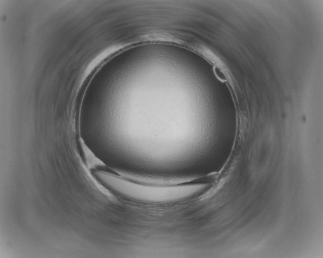 X0000081291141200701251646