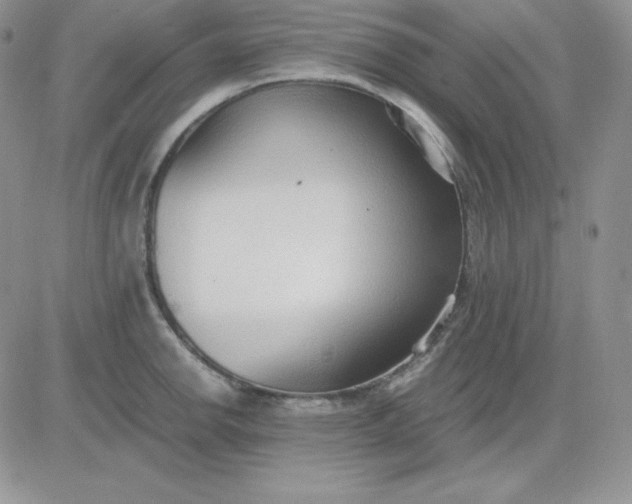 X0000081291142200701251646