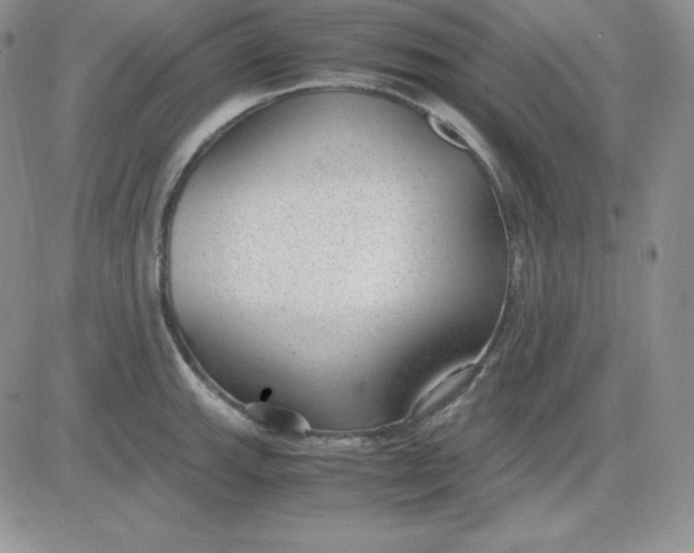 X0000081291143200701251646