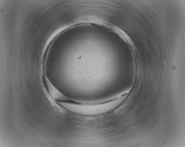 X0000081291144200701251646