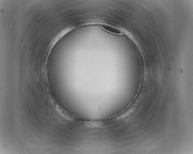 X0000081291145200701251646