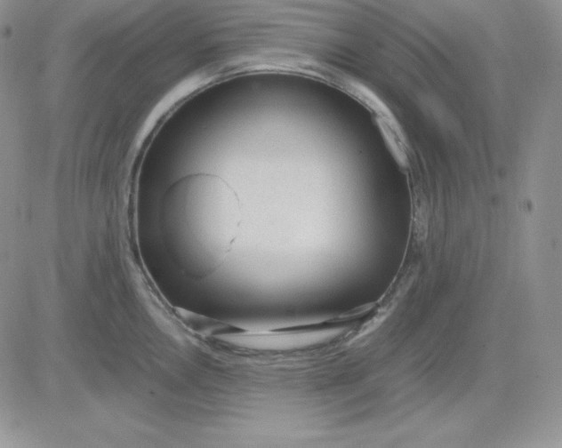 X0000081291146200701251646