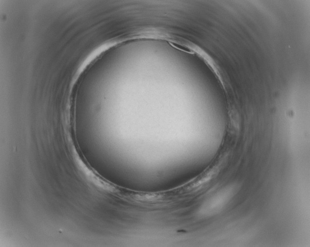 X0000081291147200701251646