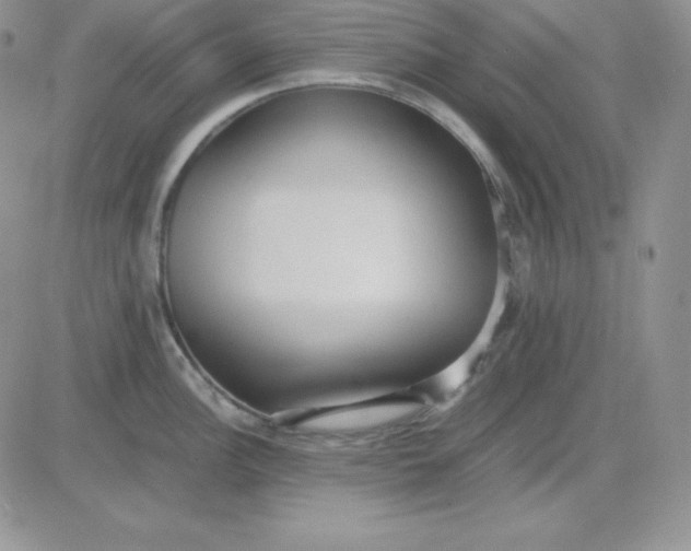 X0000081291148200701251646