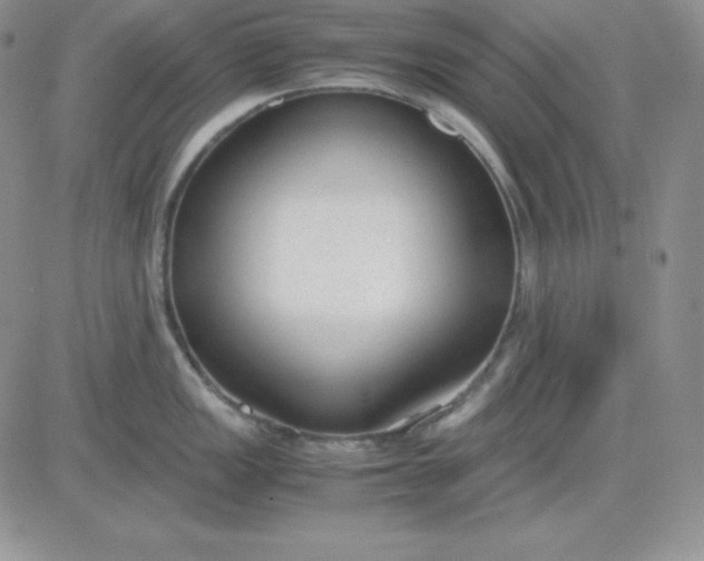 X0000081291149200701251646