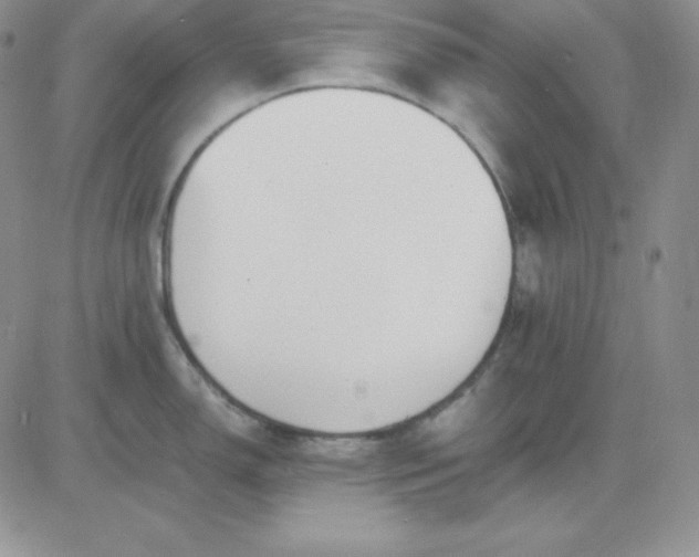 X0000081291150200701251646