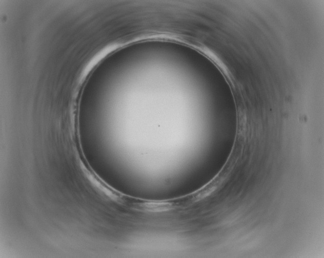 X0000081291151200701251646