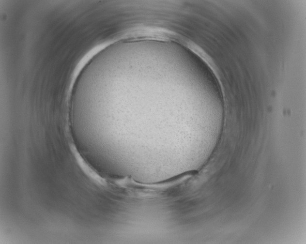 X0000081291152200701251646